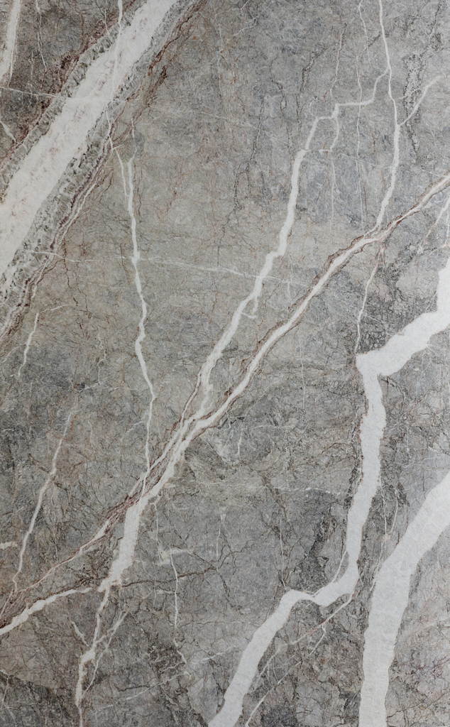 Fossil Slab | New Age Granite & Marble